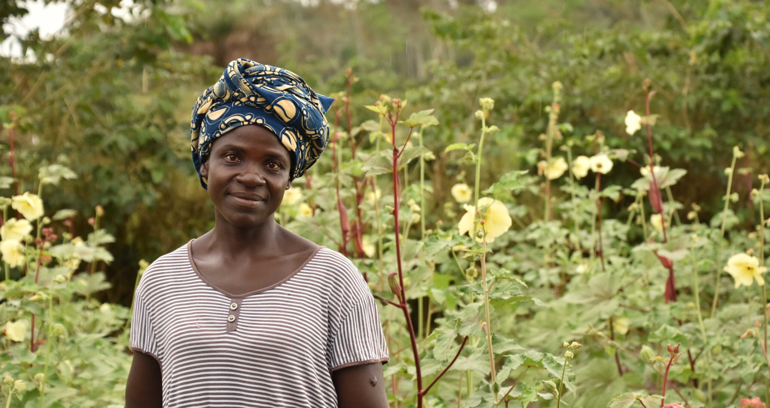 Farmer in Liberia