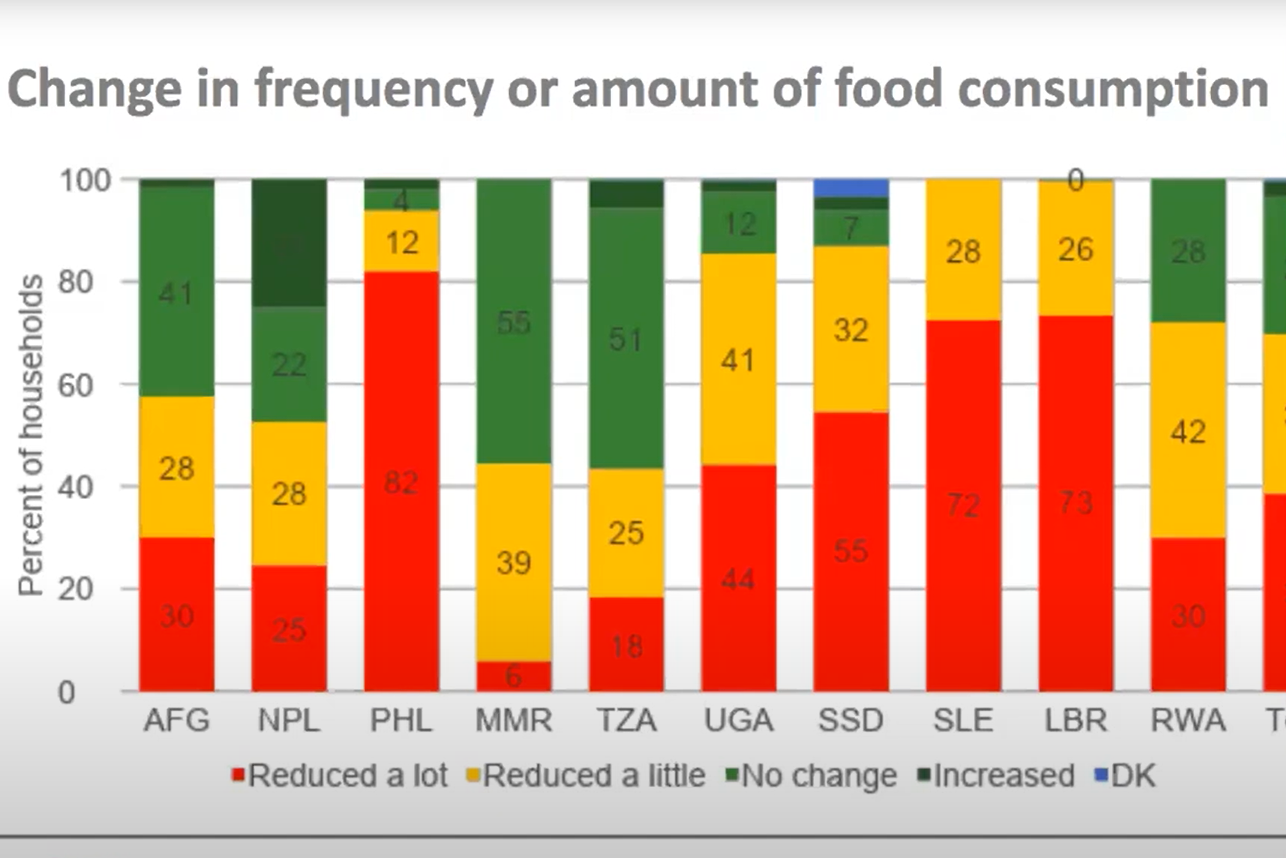 Food and income security assessment