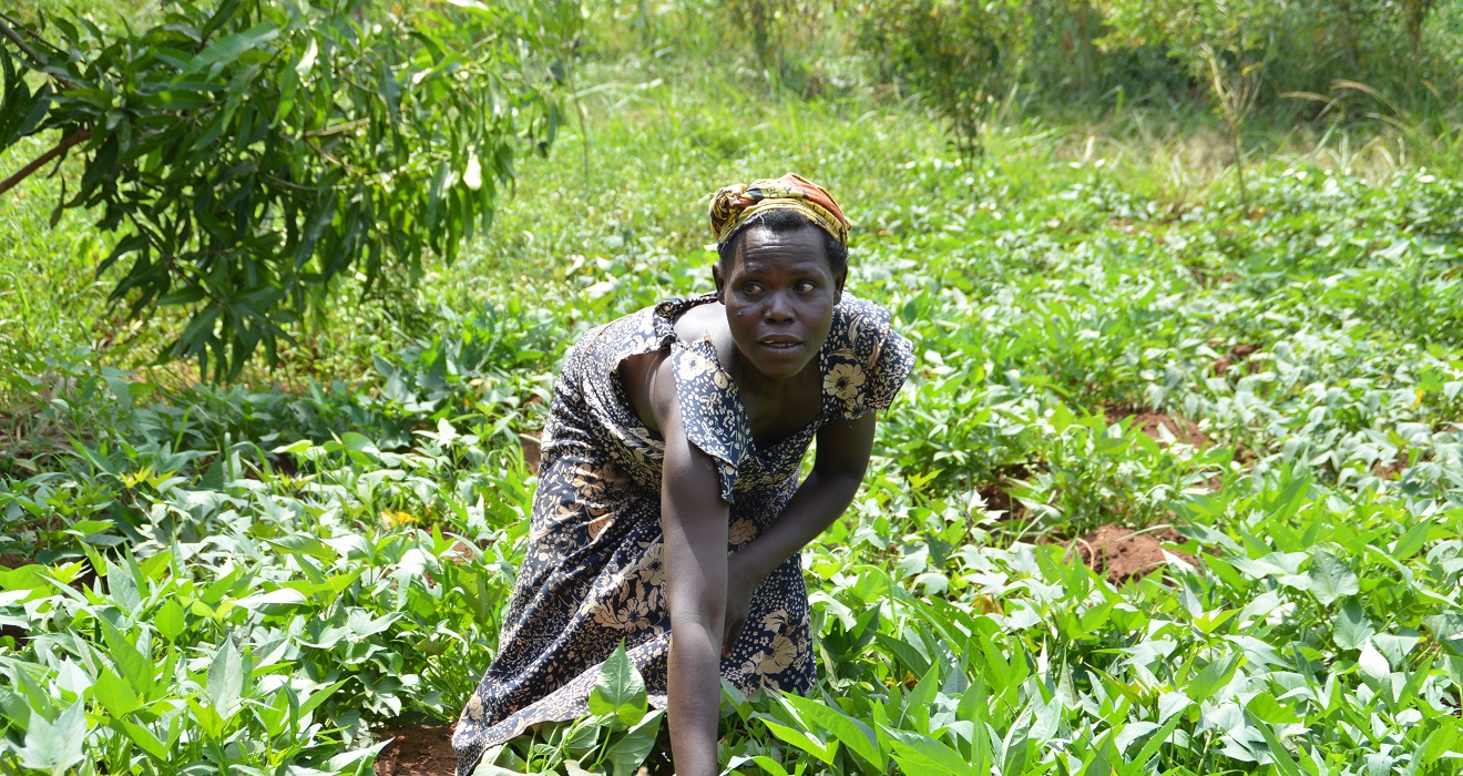 Woman in a field in Uganda.