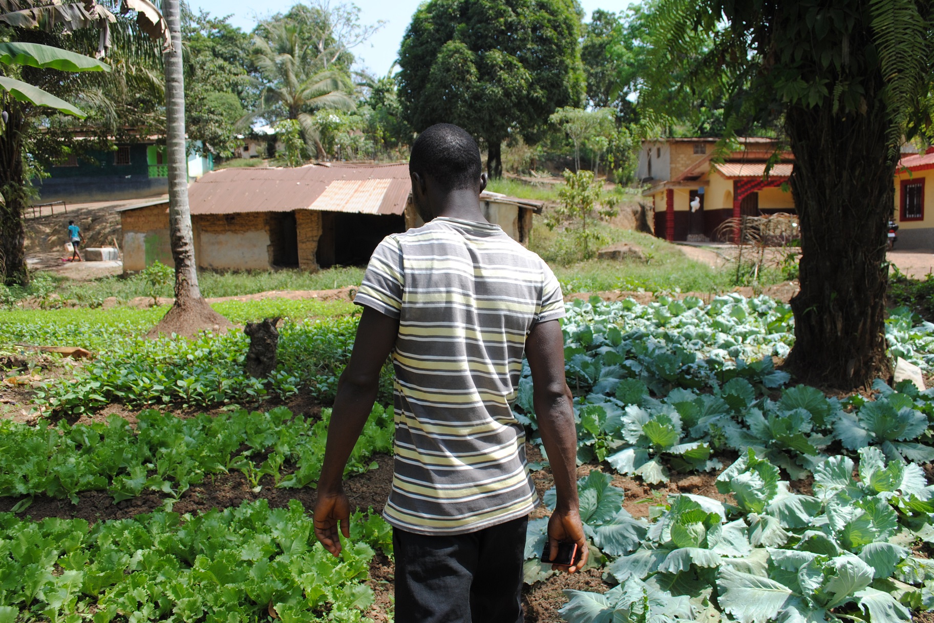 Oliver is a farmer in Liberia.
