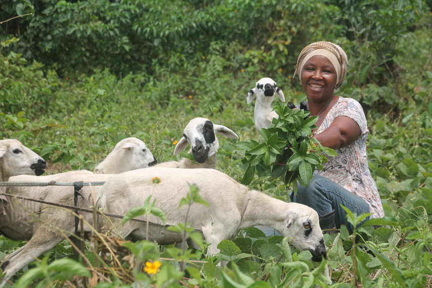 A woman in BRAC's Graduation program poses in a field with her goats