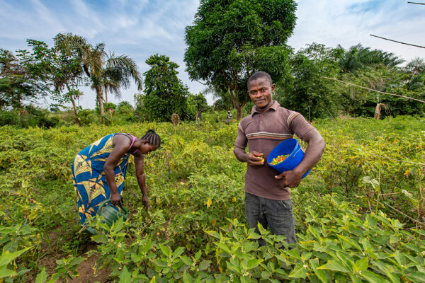 Photo by Alison Wright. Matthew poses in a field while picking peppers.