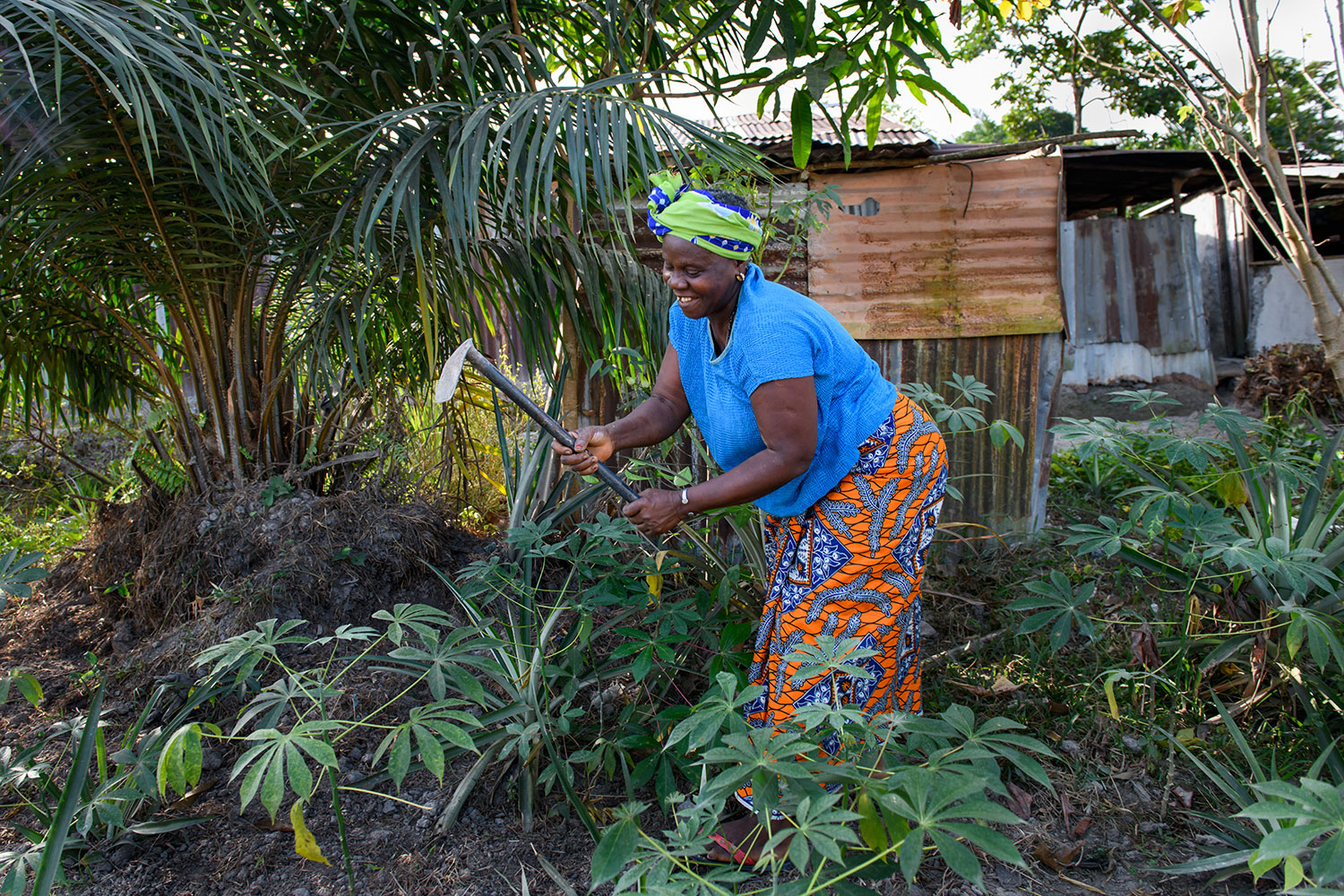 Kumba works in her Cassava field. Photo by Alison Wright.