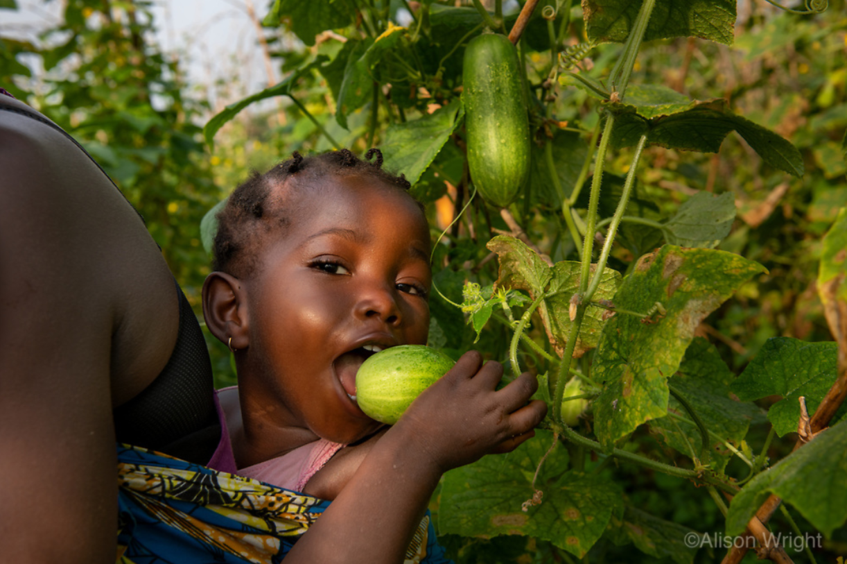 Patience's baby Bendu happily eats a cucumber