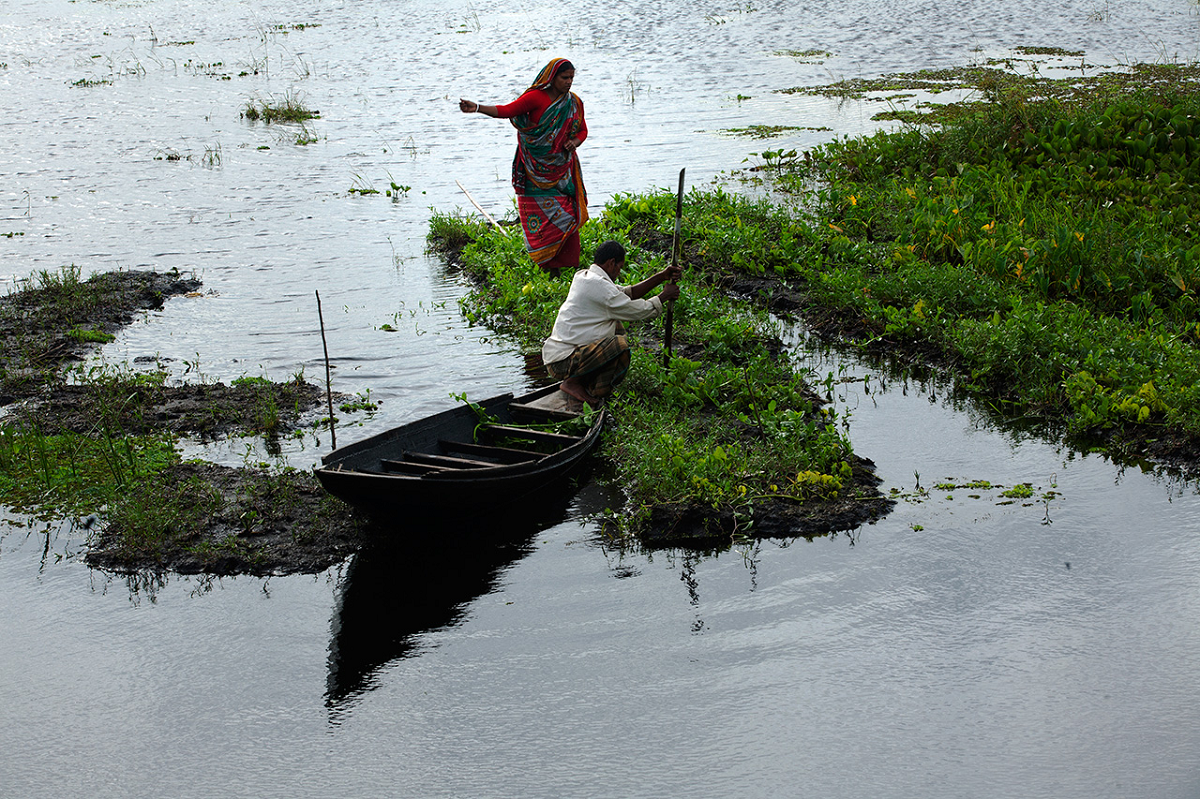 floating farm in Bangladesh