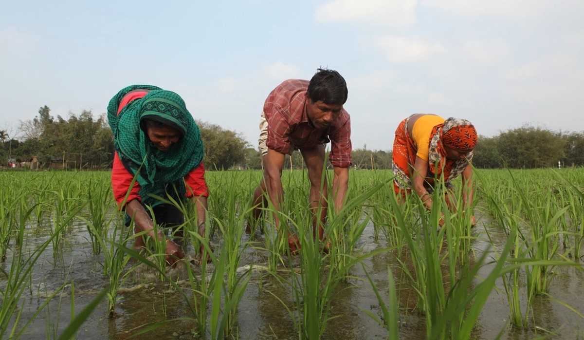 Farmers in Bangladesh face a range of challenges due to the country being so vulnerable to the climate crisis.