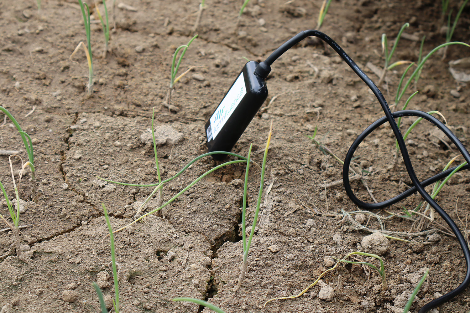 A soil testing device is put in the soil of Marjina's farm in Bangladesh.