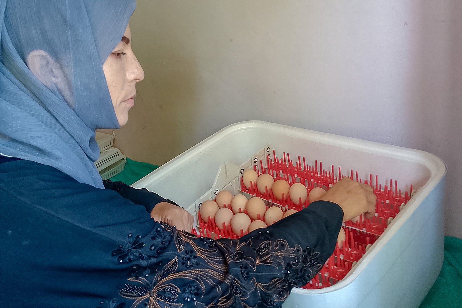 Khadija arranges eggs in her incubator.