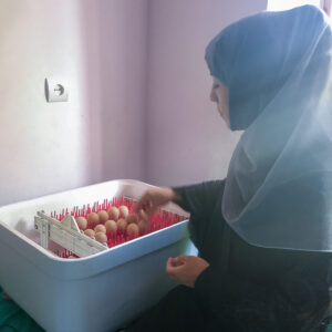 Khadija places an egg in her incubator.