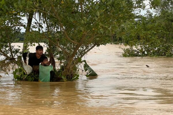 Two men, one wearing a black shirt, and another wearing a green shirt, hold tight to a leafy green tree submerged in flood waters