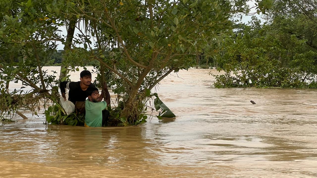 Two men, one wearing a black shirt, and another wearing a green shirt, hold tight to a leafy green tree submerged in flood waters