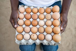 A close up of a carton of eggs that a woman in Liberia is holding.