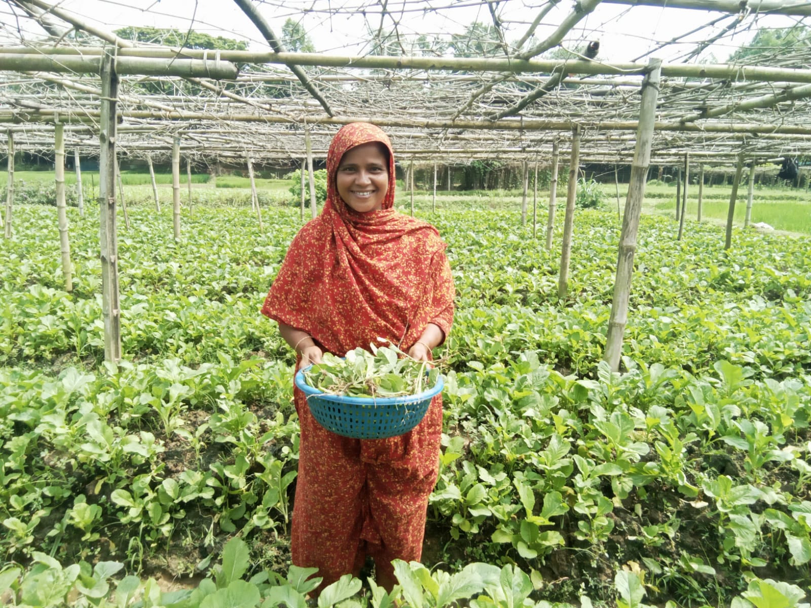 An image of a woman, Rozina, standing in her farm with crops behind her and holding harvested leafy greens.