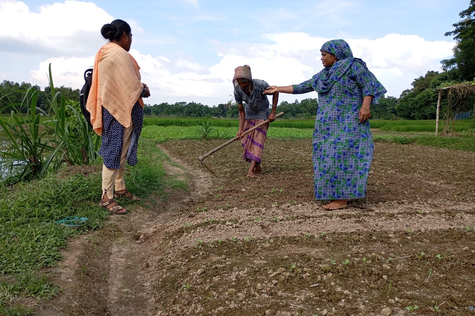 An image of Rozina and two other women working to replant a patch of barren soil after the floods.