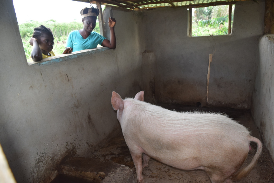 Mamie shows us Bernie’s new pig, part of her growing business. In Liberia, BRAC’s Youth Empowerment program creates safe spaces for young women to build confidence, gain financial literacy, and access hands-on vocational training, like pig farming. Each participant receives a male and female pig to help launch a small business and earn a stable income in their community.