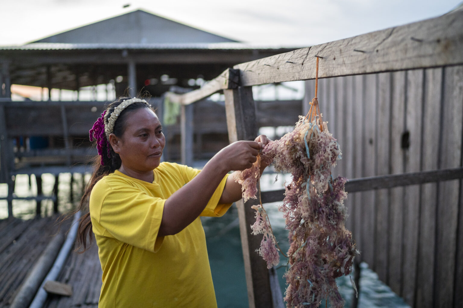 Arselina Abdu sorts seaweeds in Tawi-Tawi, Bangsamoro Autonomous Region in Muslim Mindanao (BARMM), Philippines, on October 22, 2024. Photo by Lisa Marie David