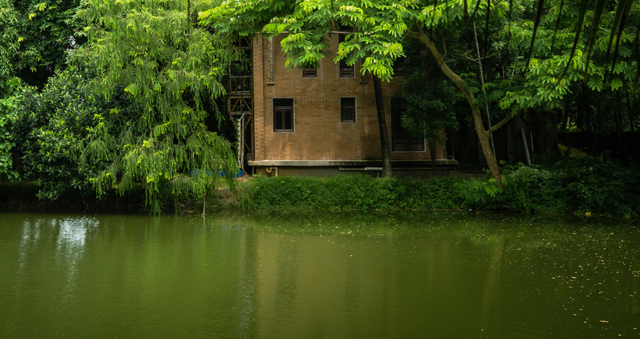 An image of a brick house peeks out from behind thick trees and overlooks a pond