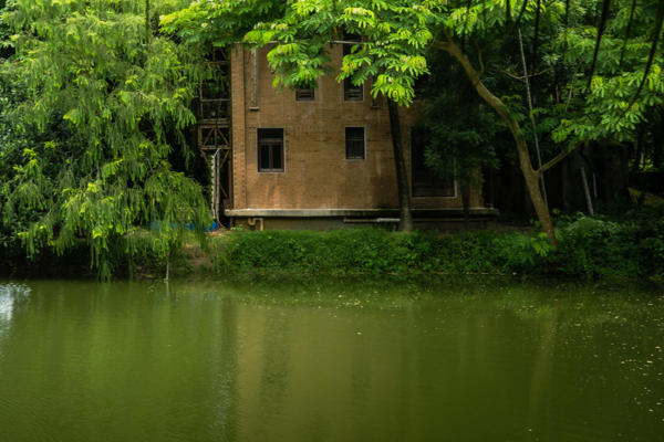 An image of a brick house peeks out from behind thick trees and overlooks a pond